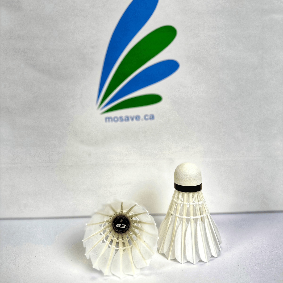 Mosave_G3_shuttles_feather_bir