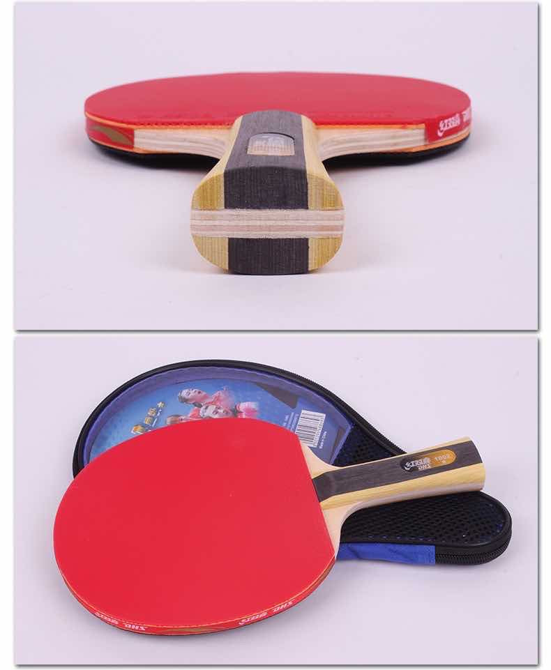 DHS T1002 Table Tennis pingpong paddle racket